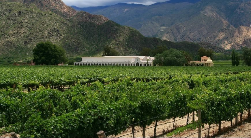 Plan Vitivinícola de Bodegas de Salta tendrá como ejes la sostenibilidad socioeconómica y ambiental