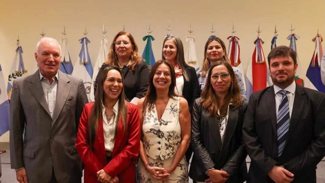 El Gobierno de Salta integró la 51° sesión del Consejo Federal de Niñez ...