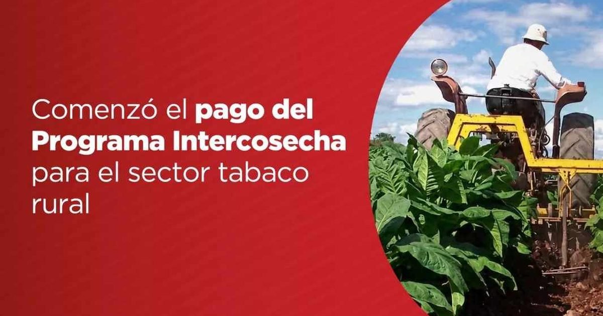Programa Intercosecha sector tabaco