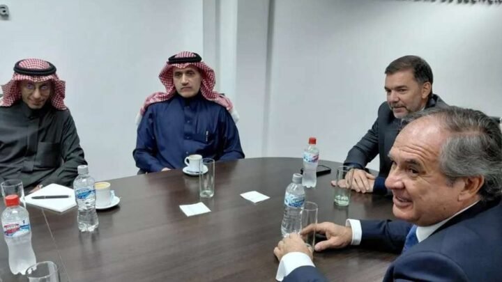 cooperación e inversión Arabia Saudita