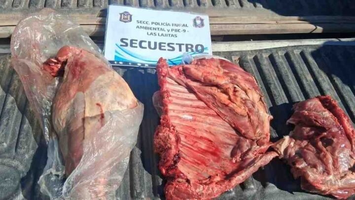 Las Lajitas carne de pecarí