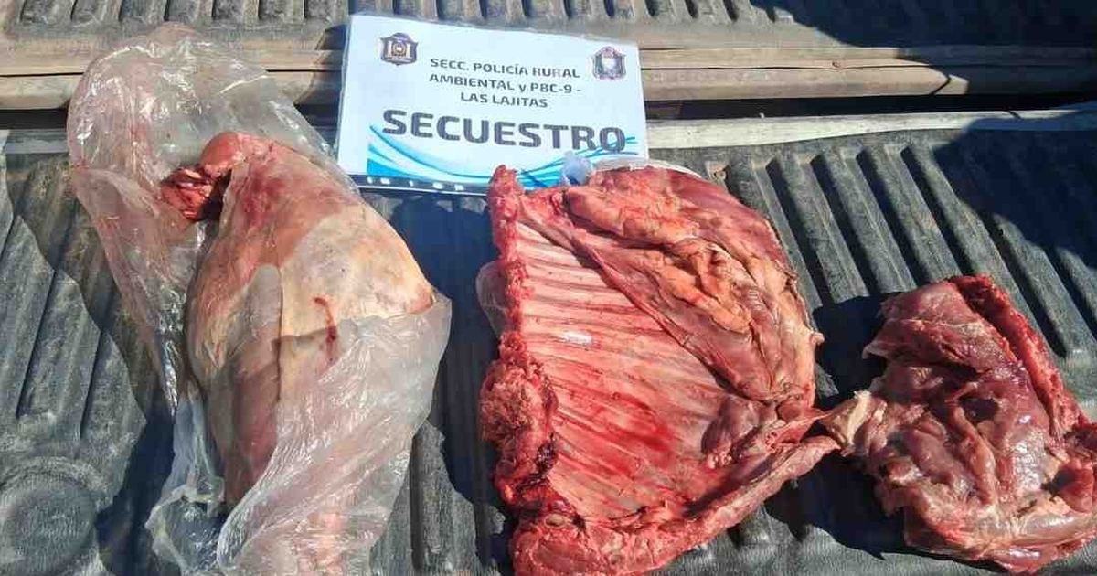 Las Lajitas carne de pecarí
