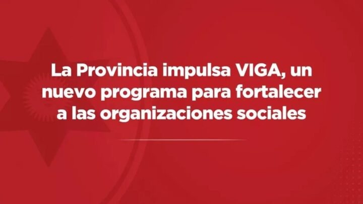 programa VIGA