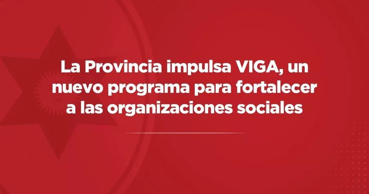 programa VIGA