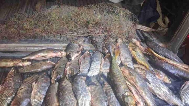 pesca ilegal en Camino La Flaca