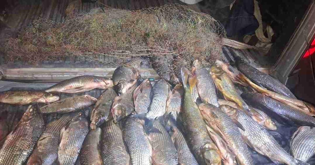 pesca ilegal en Camino La Flaca