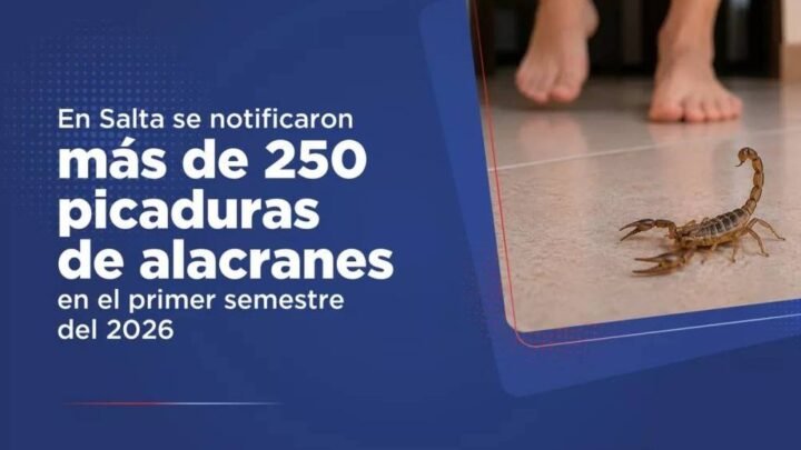 picaduras de alacranes en Salta