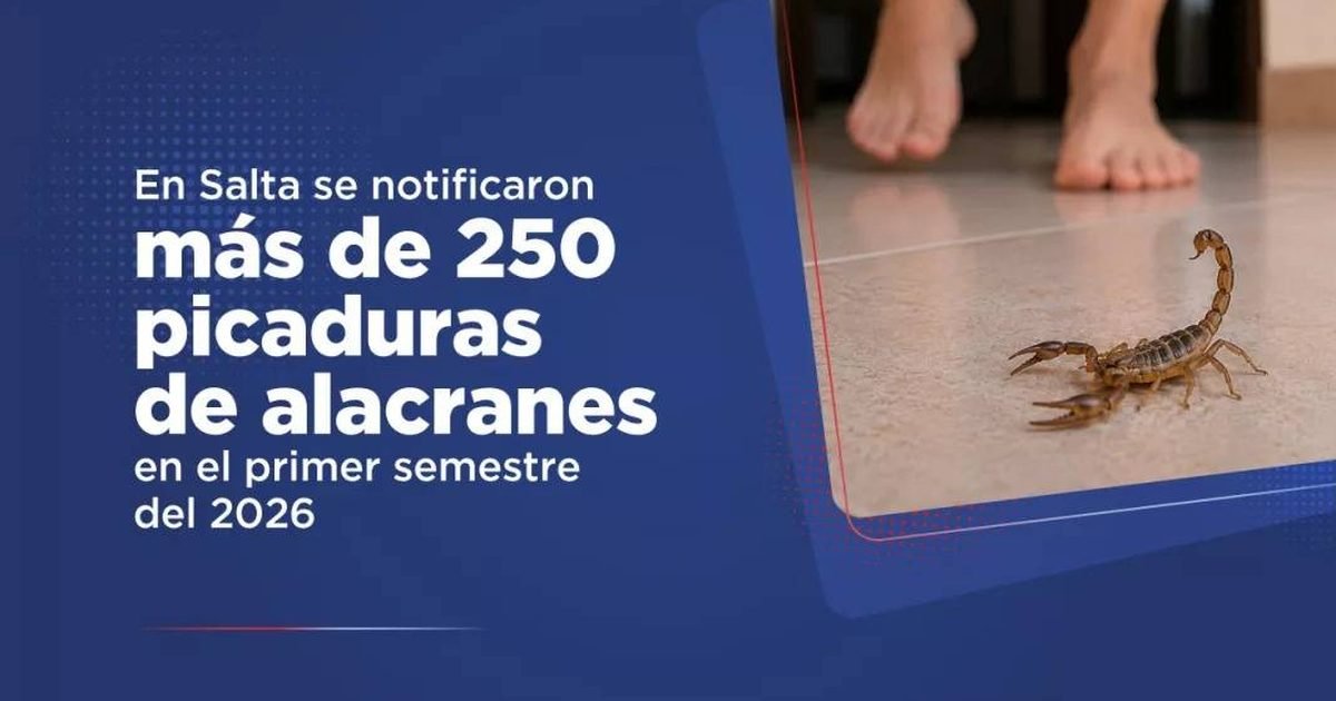 picaduras de alacranes en Salta