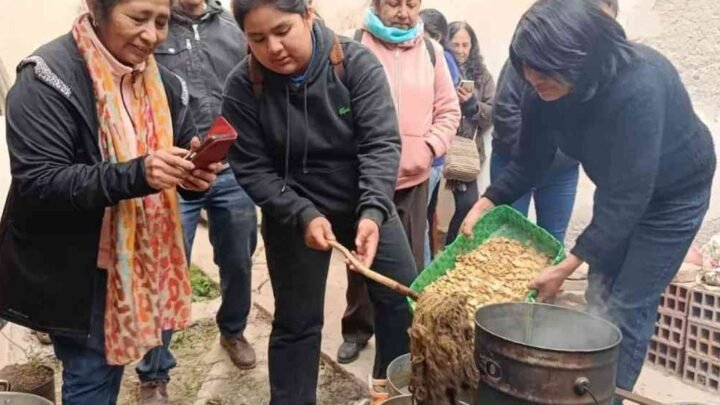 Taller de Tintes Naturales