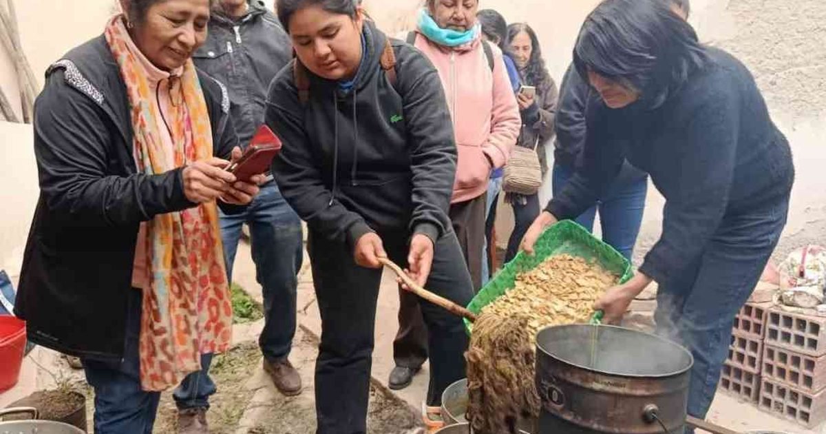 Taller de Tintes Naturales