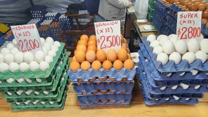 huevos a precios accesibles