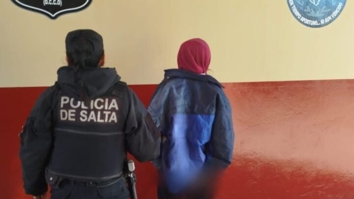mujer detenida por robo