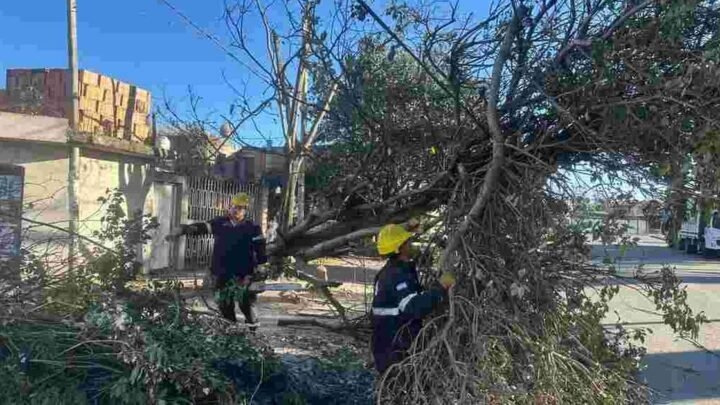 incidentes por el viento y el fuego