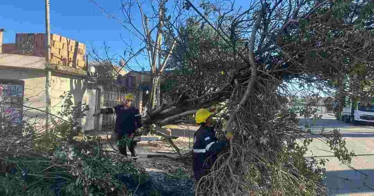 incidentes por el viento y el fuego
