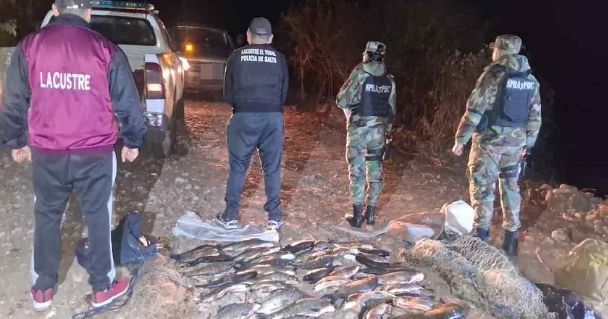 pesca ilegal en Anta