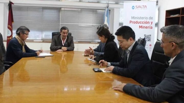 expansión del litio salteño