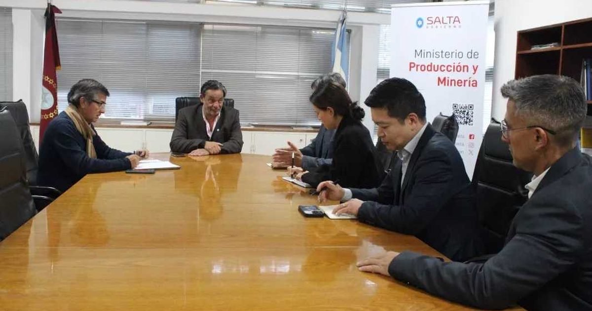 expansión del litio salteño