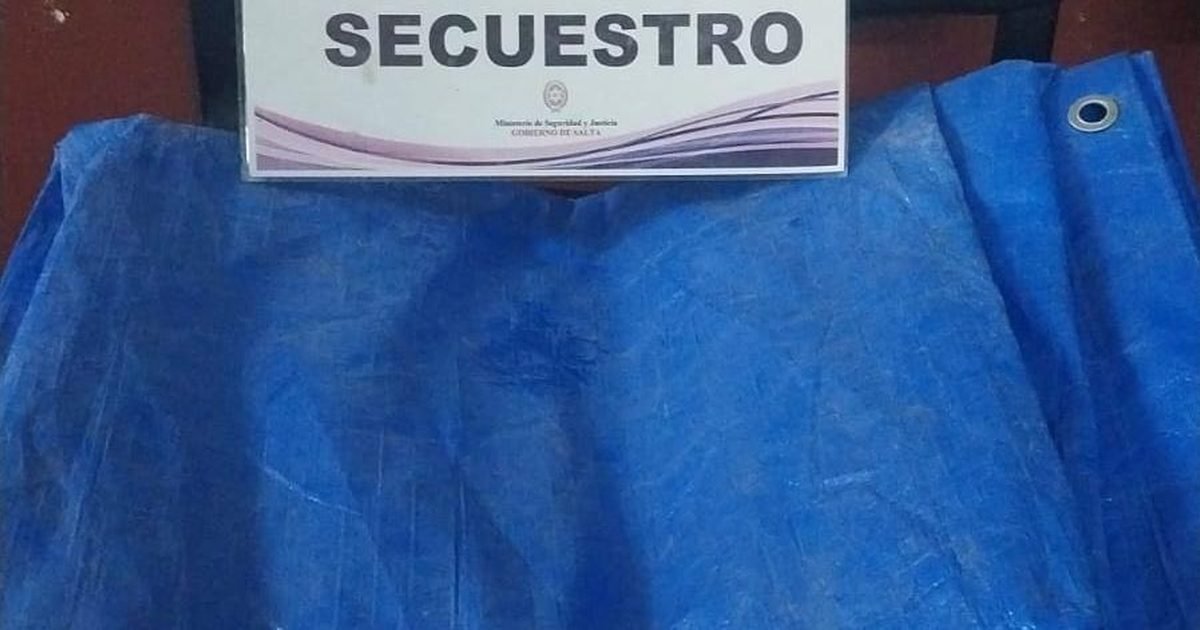 robo videovigilancia Capital