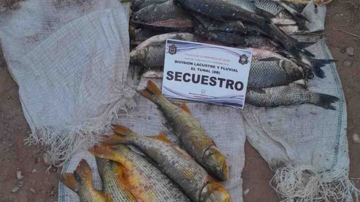 pesca ilegal en Anta