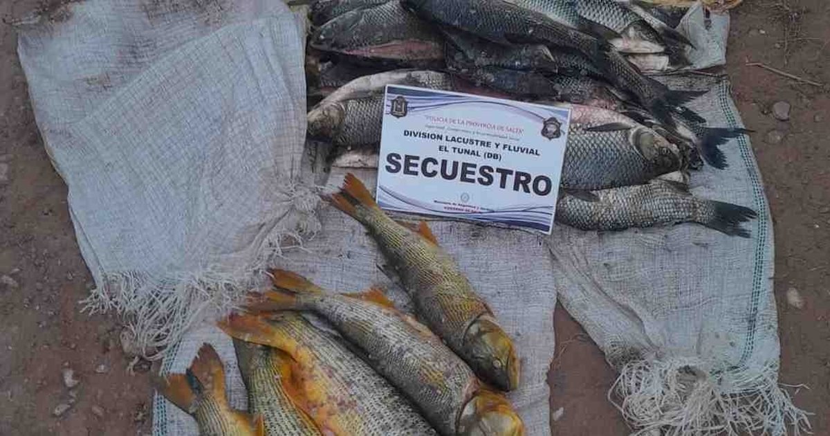 pesca ilegal en Anta