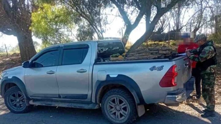 madera transportada ilegalmente