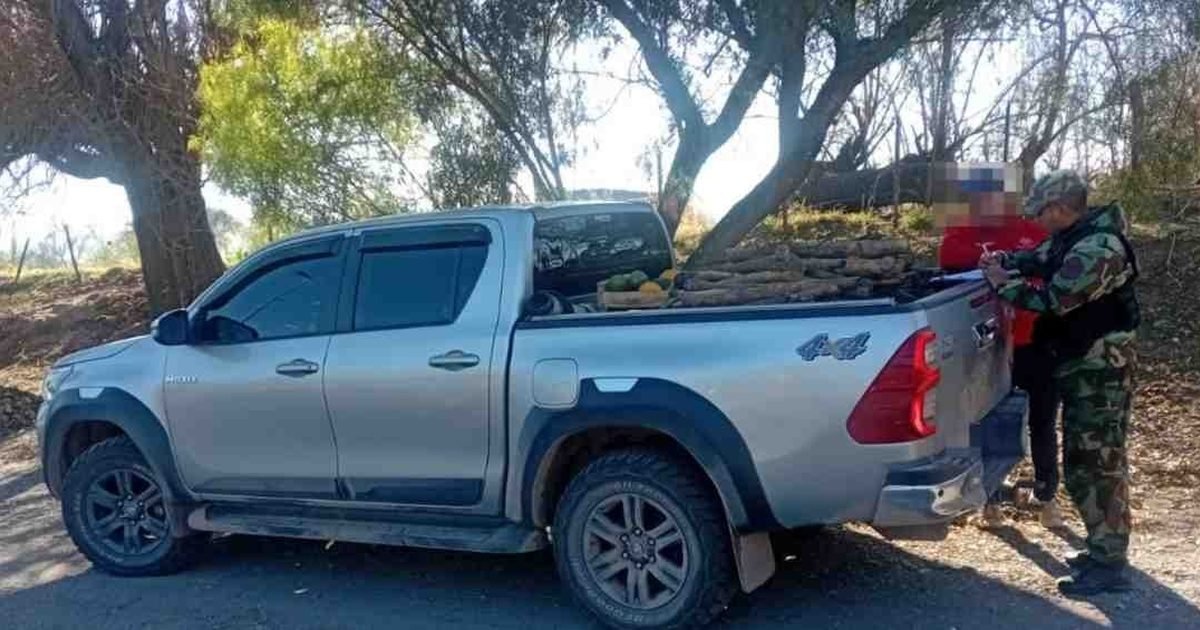 madera transportada ilegalmente