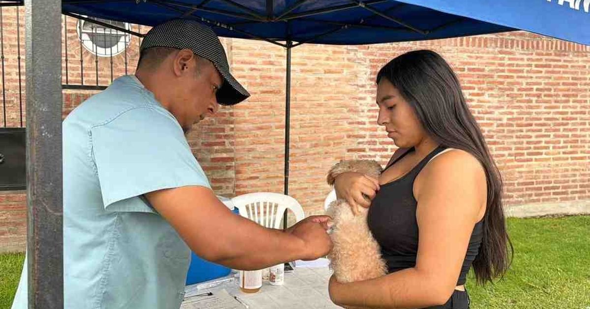 vacunación antirrábica