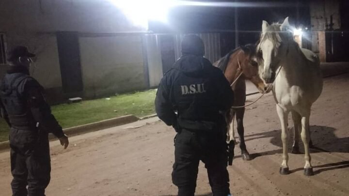 equinos sueltos en calle Sarmiento