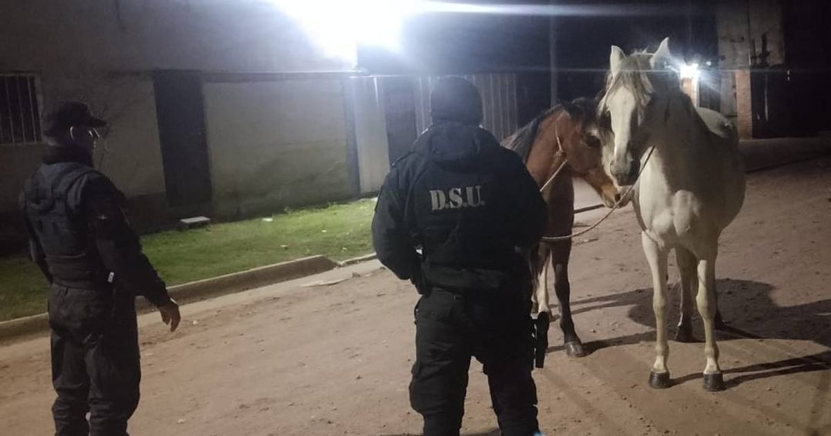 equinos sueltos en calle Sarmiento