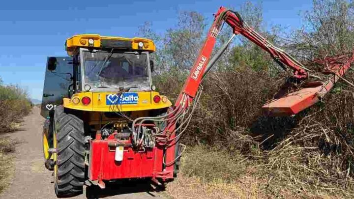 cortafuego para prevenir incendios