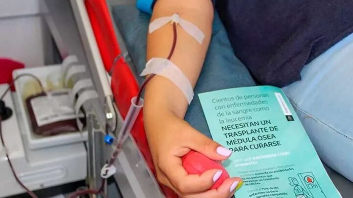 récord en trasplantes de médula ósea
