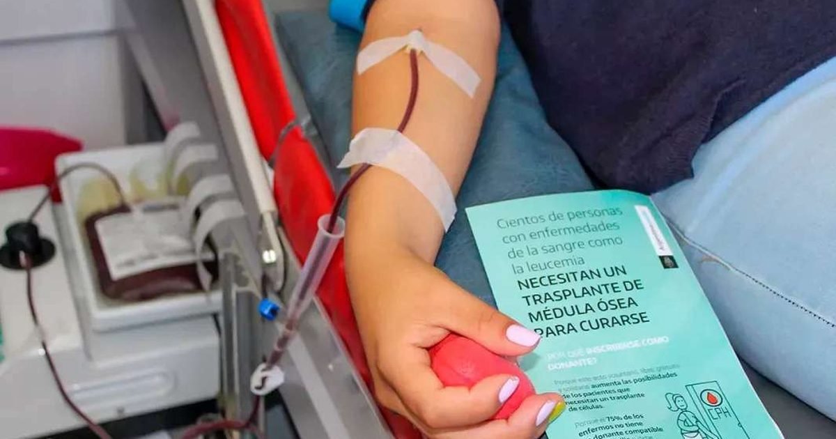 récord en trasplantes de médula ósea