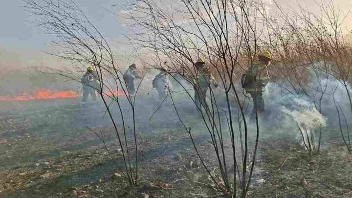 incendio en zona sur