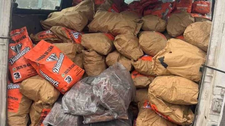 secuestran 130 bolsas de carbón vegetal