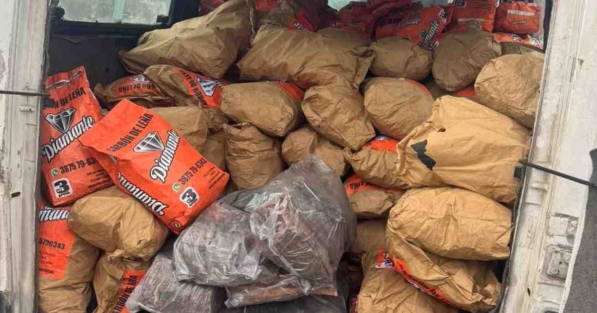 secuestran 130 bolsas de carbón vegetal