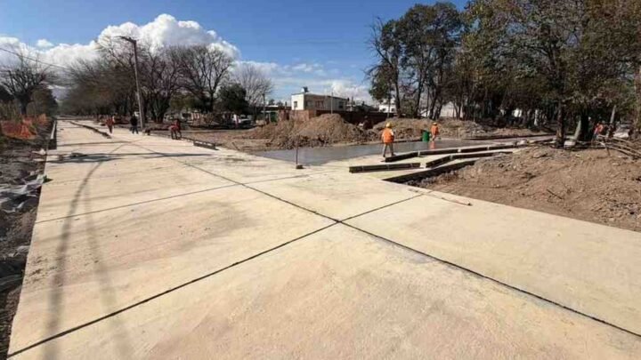 recuperación de la avenida Gato y Mancha