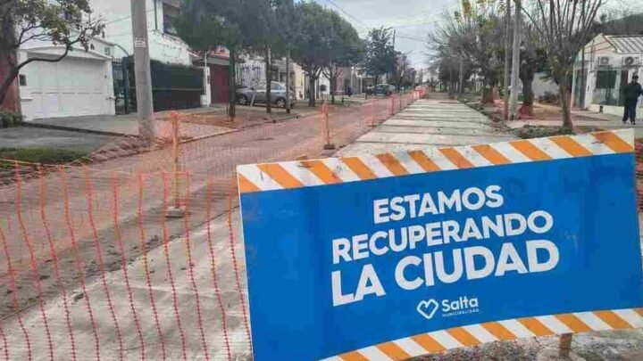 calzada en la calle Las Palmeras