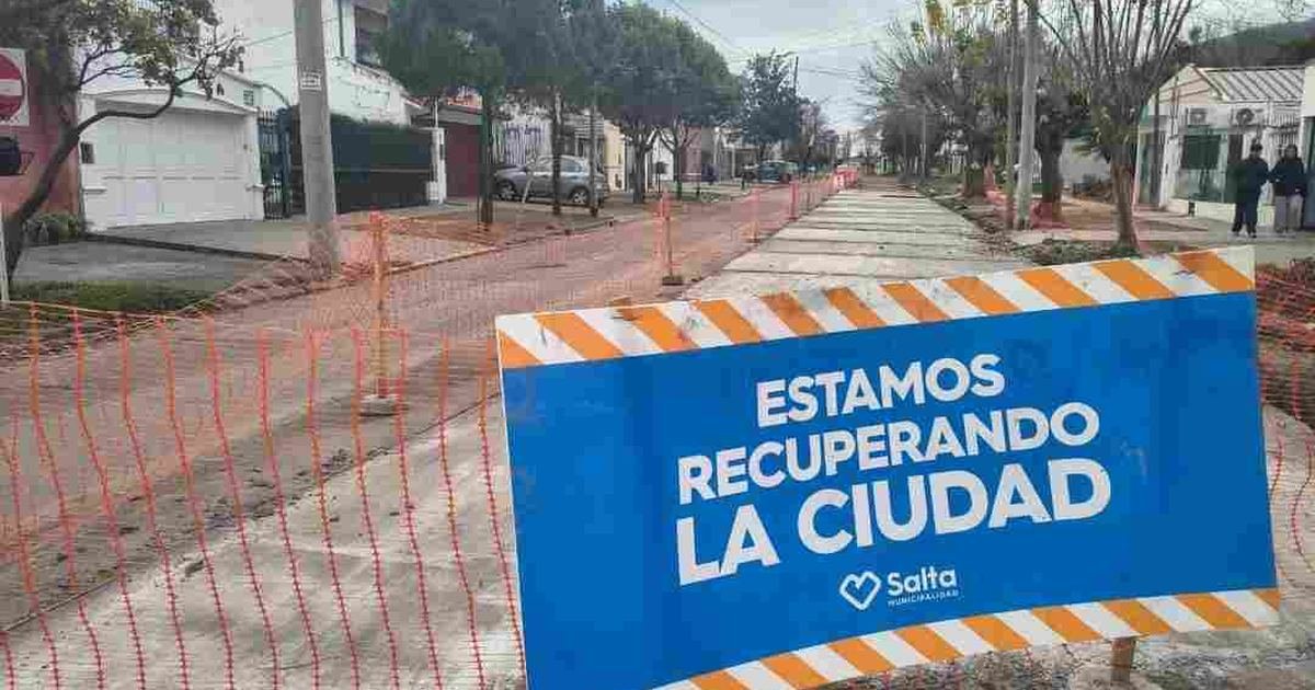 calzada en la calle Las Palmeras