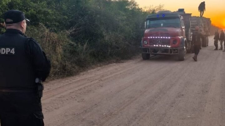 transporte ilegal de producto forestal