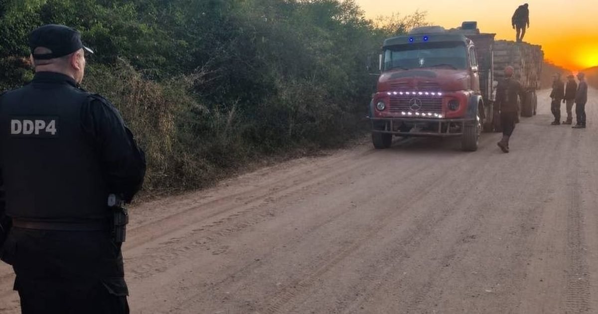 transporte ilegal de producto forestal
