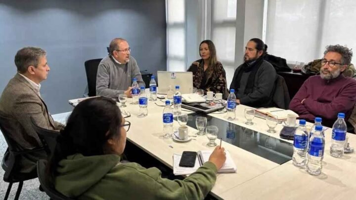 exlotes fiscales 55 y 14