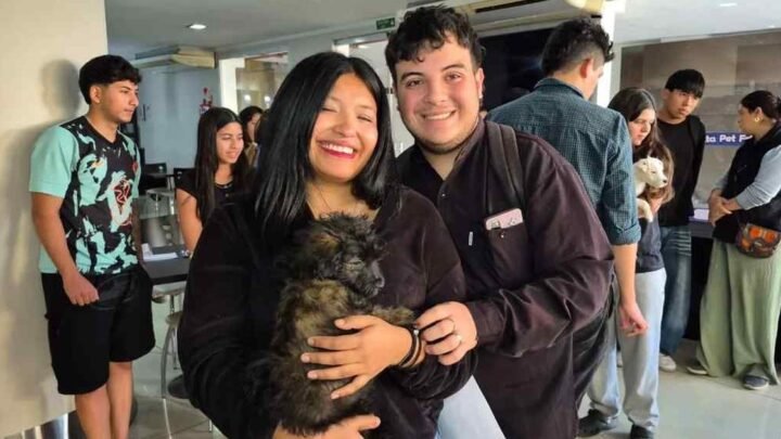 siete adopciones bienestar animal