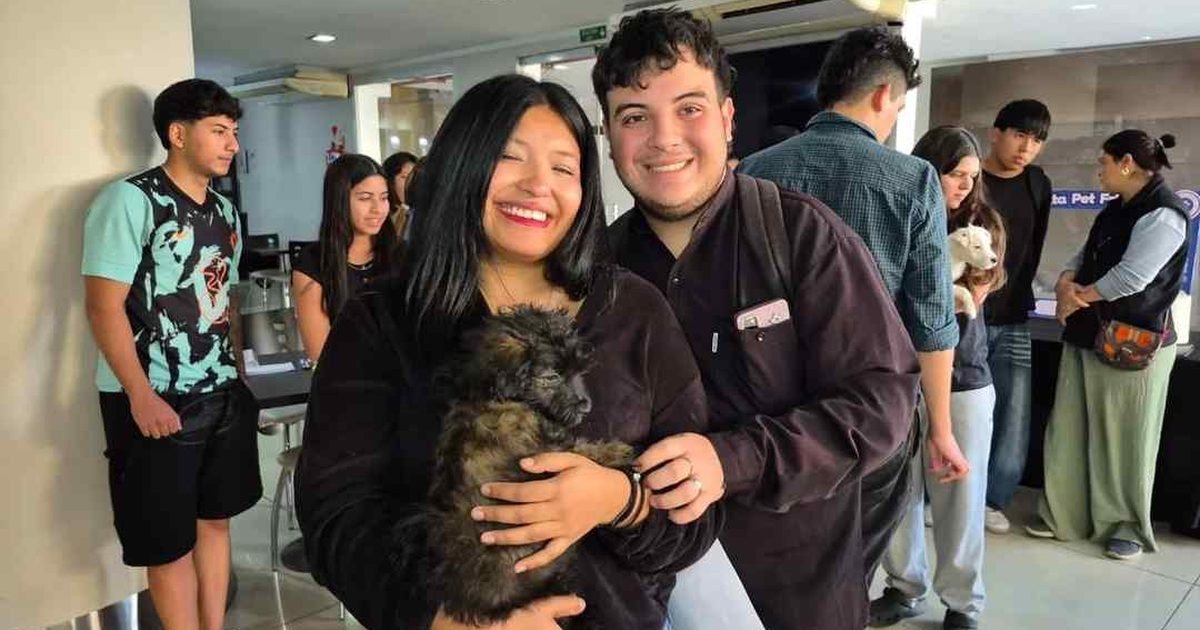 siete adopciones bienestar animal