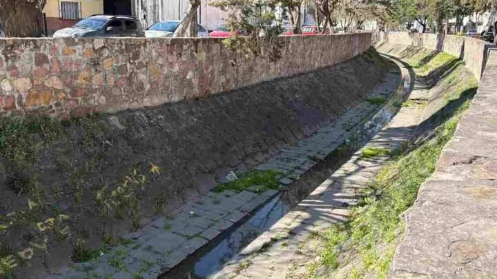 Canal Esteco limpieza