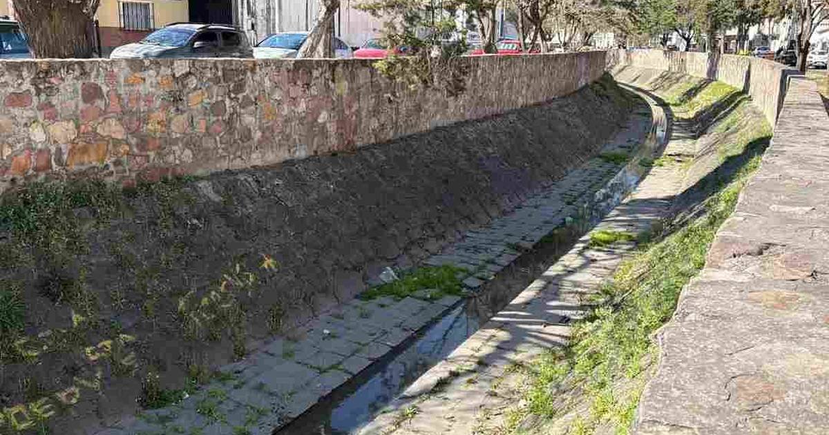 Canal Esteco limpieza
