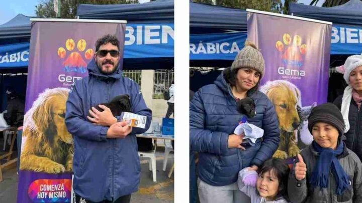 siete adopciones Estudiá Salta