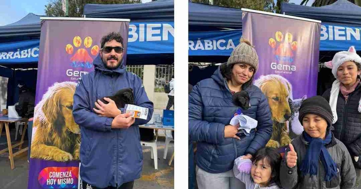 siete adopciones Estudiá Salta
