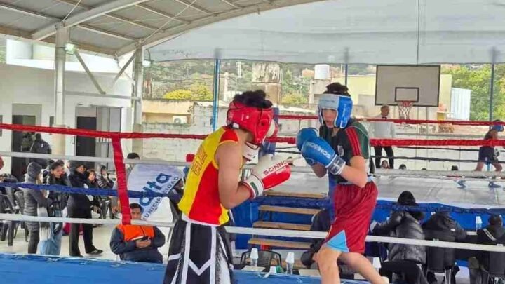 Torneo Municipal de Boxeo
