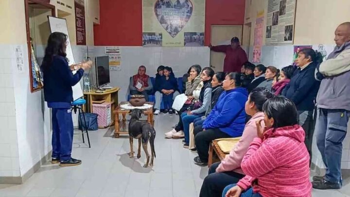 asistencia médica Extramuros
