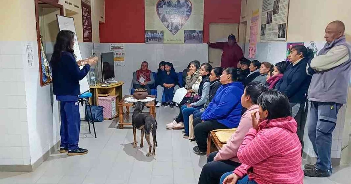 asistencia médica Extramuros